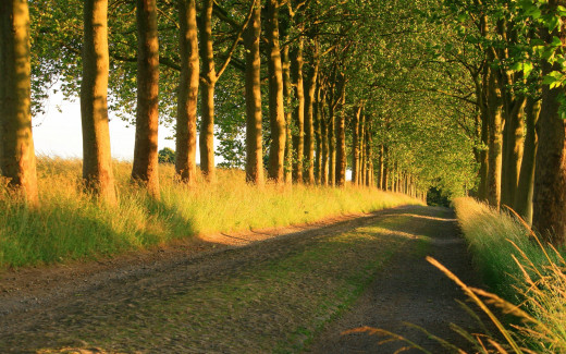 509589 (a): :2560x1600